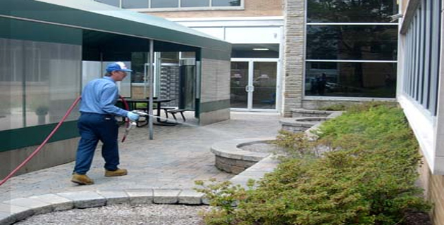 Pests Control Services